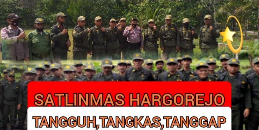 Keberadaan Linmas Maupun Satgas Linmas Hargorejo